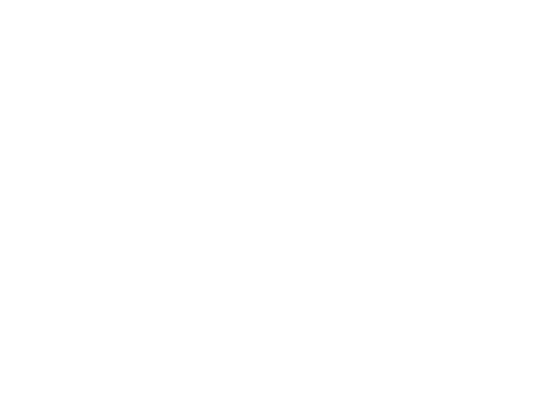 Madrid City Hall Logo